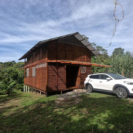 Eco Guest House - Sarapiqui 1 Zewnętrze zdjęcie
